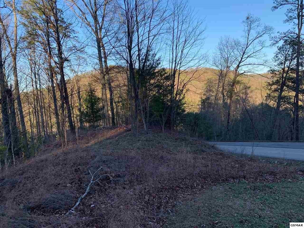 66 Whetstone Road Sevierville, TN 37863 - Photo 5 of 6