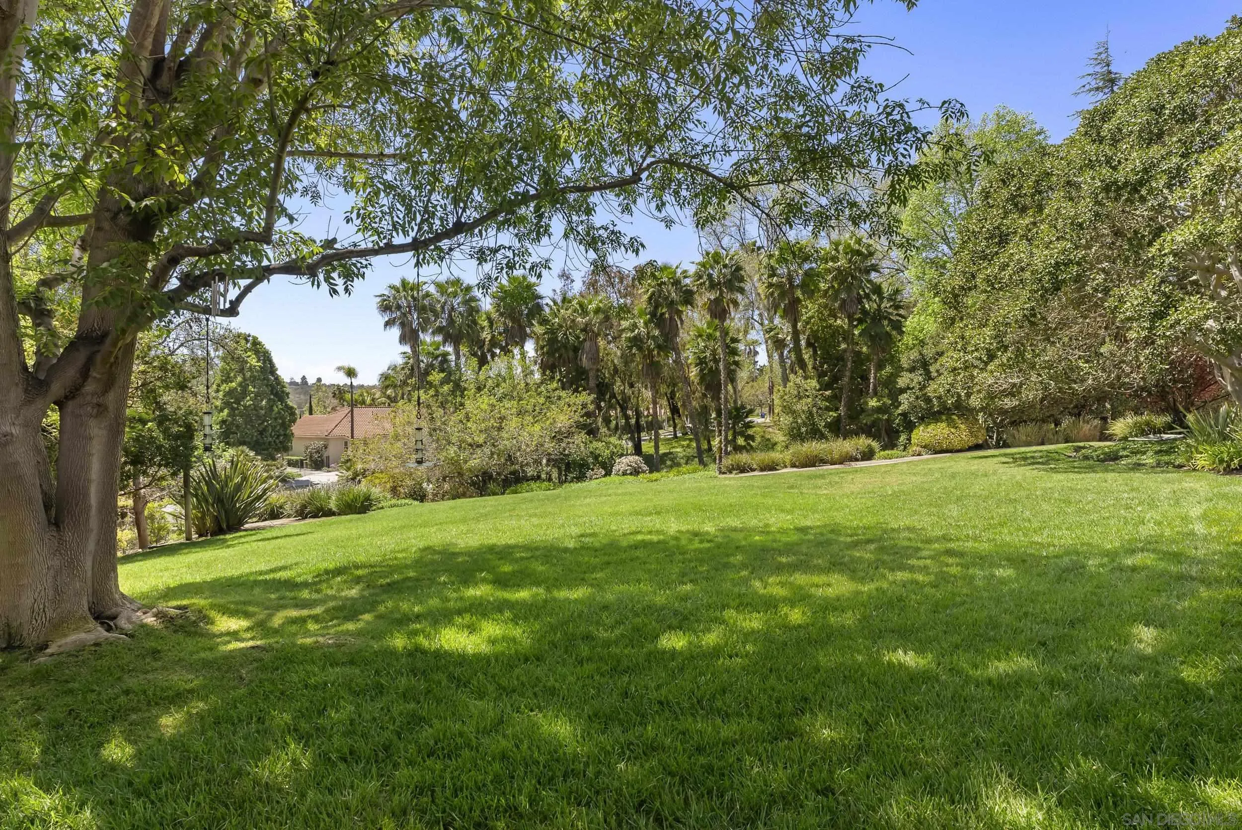 17207 El Caporal Rancho Santa Fe, CA 92067 - Photo 16 of 19 a view of a field with a tree