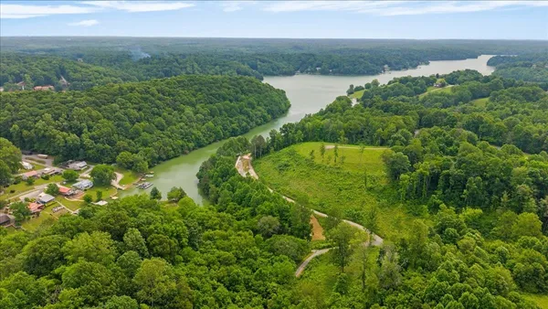 a view of a yard with large trees