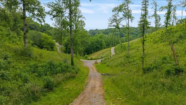 an aerial view of residential houses with outdoor space and trees all around