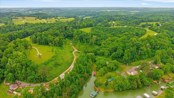 a view of a green yard with large trees