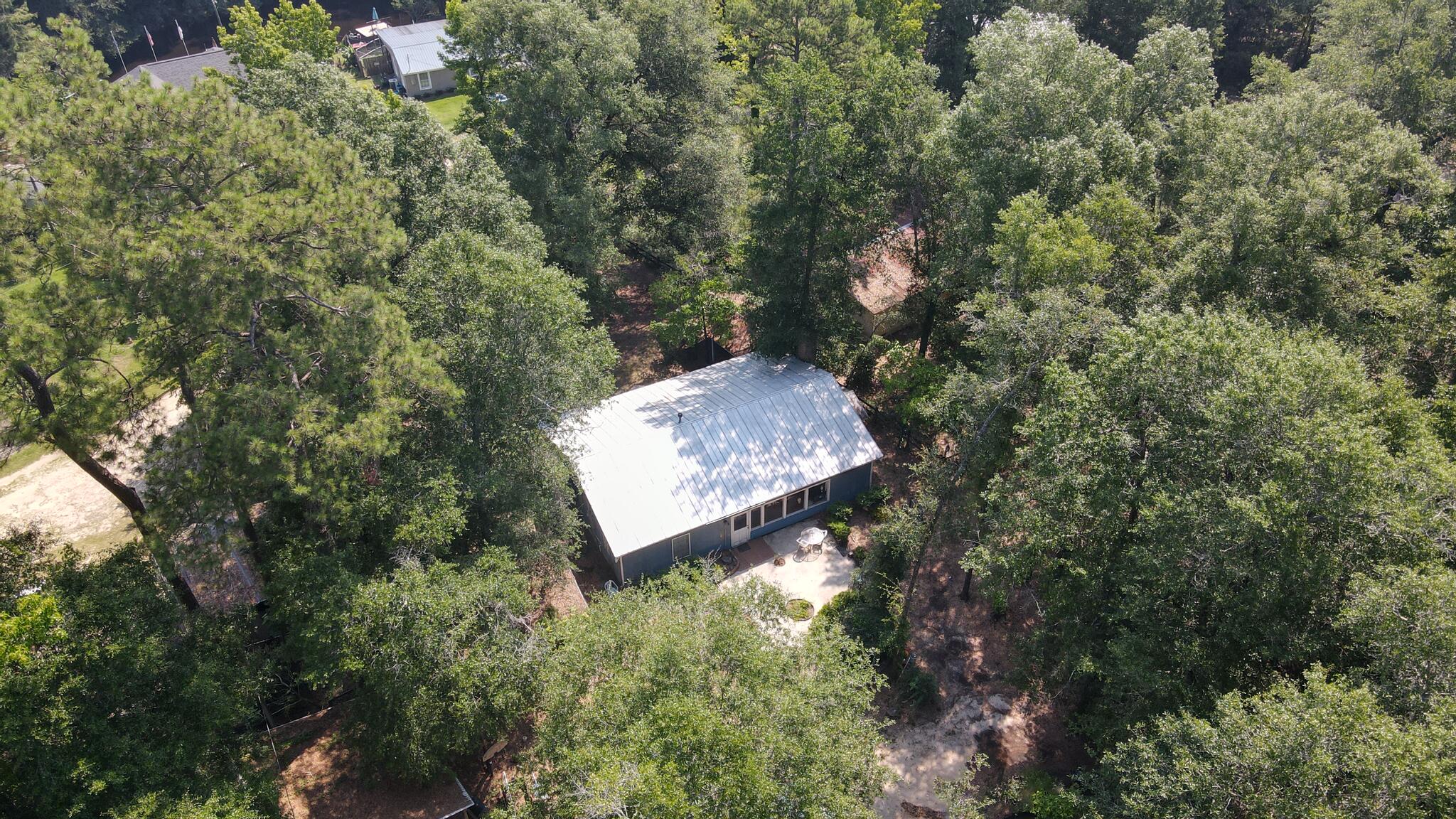 951 Shipes Bluff Road Blackville, SC 29817 - Photo 3 of 29
