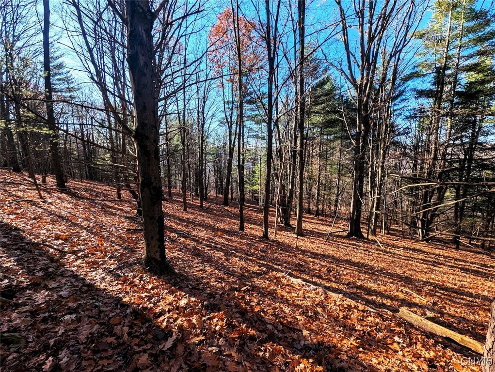 2 Rod Road Naples, NY 14512 - Photo 9 of 32