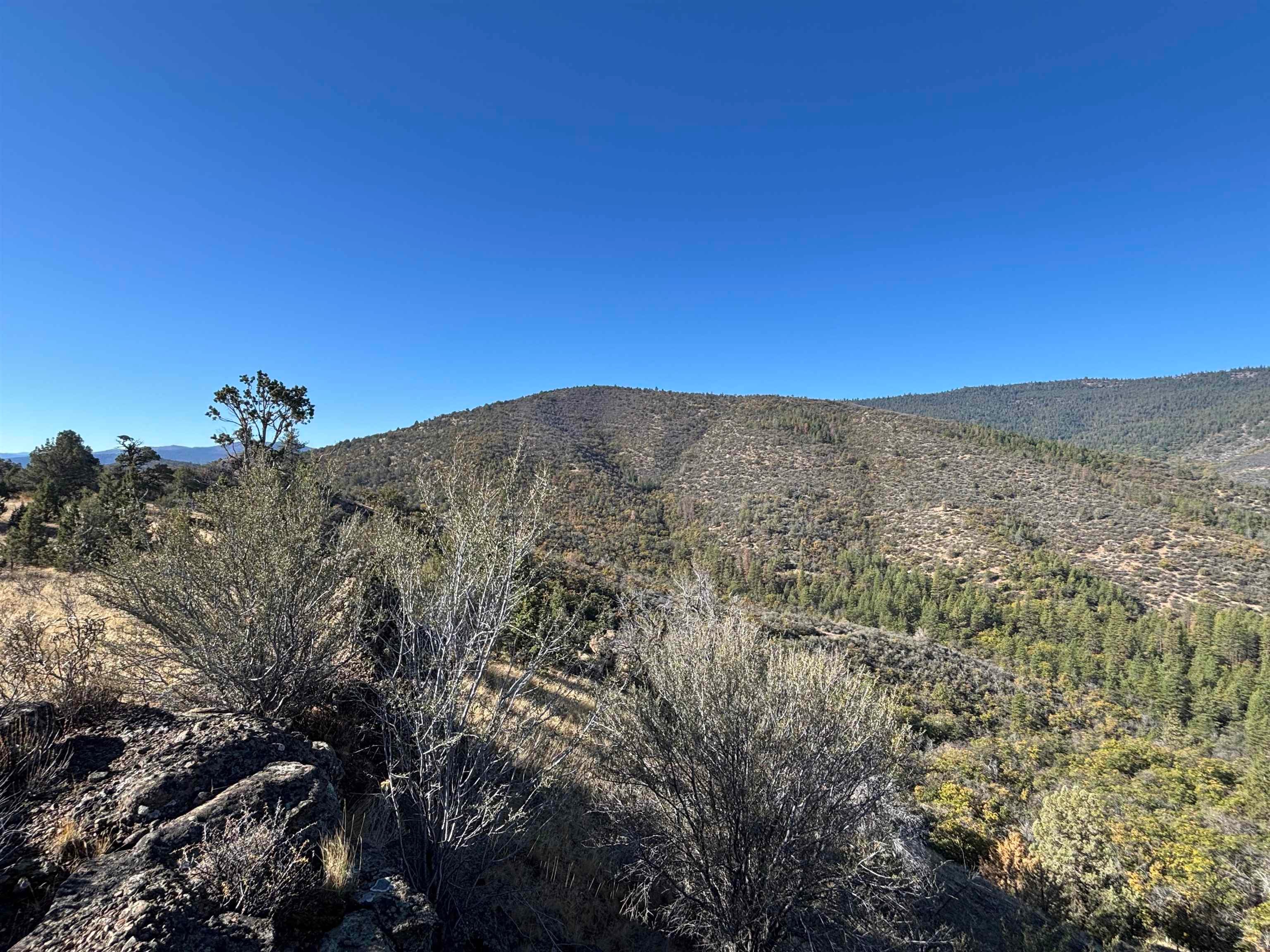 0 Guys Gulch Road Yreka, CA 96097 - Photo 11 of 11 Gallery Image 11