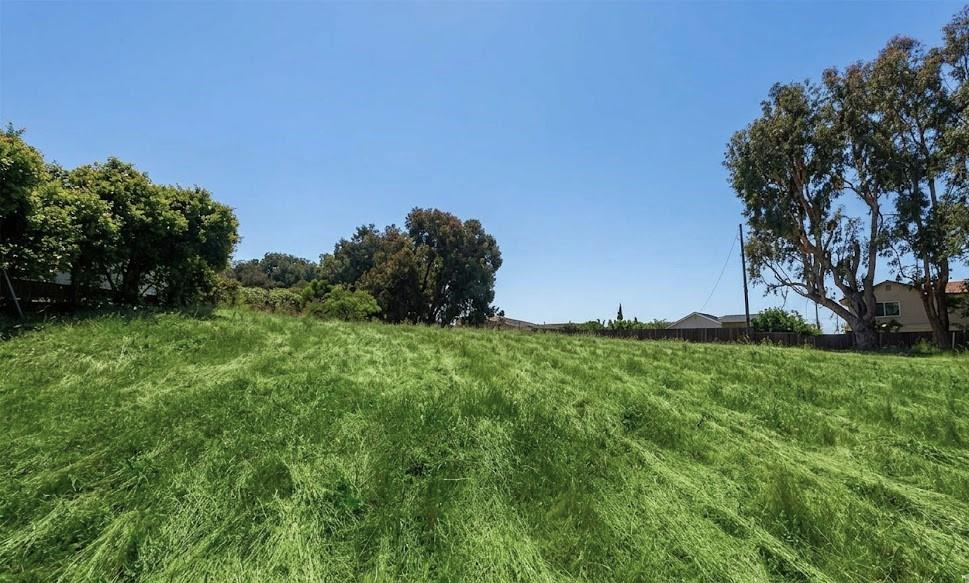 0 Kettmann Road San Jose, CA 95121 - Photo 5 of 7 a view of a field with plants and trees