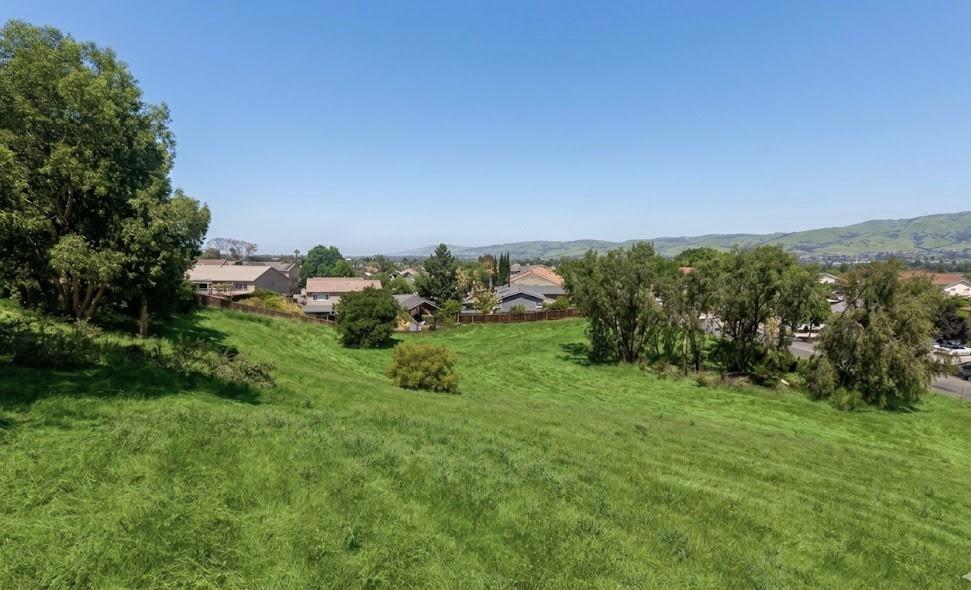 0 Kettmann Road San Jose, CA 95121 - Photo 6 of 7 a view of a green field with lots of bushes