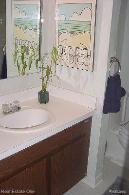 4917 Crooks Road, Unit J3 Royal Oak, MI 48073 - Photo 15 of 17 Bathroom