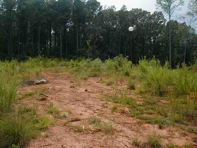 15 Shooting Star Way Seneca, SC 29672 - Photo 2 of 3 Gallery Image 2