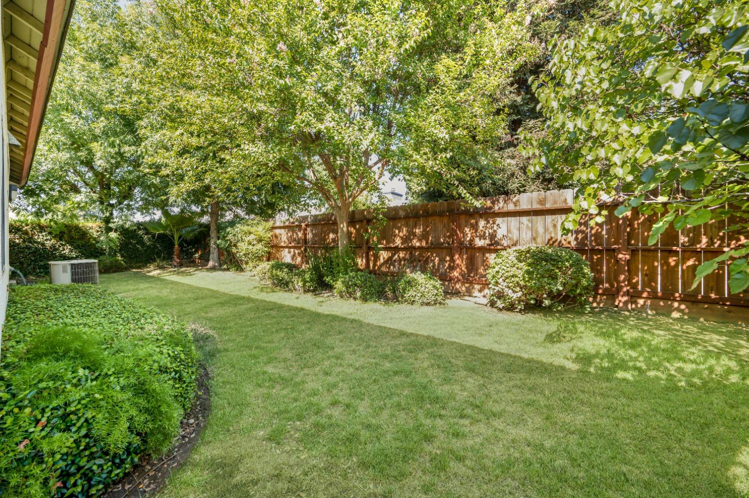 733 Applegate Avenue Clovis, CA 93611 - Photo 24 of 25 a view of a trees with a yard