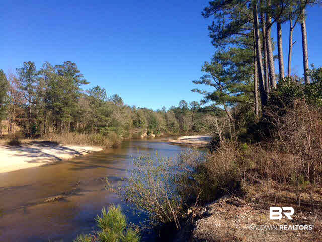 20932 Earl Phillips Road Little River, AL 36550 - Photo 2 of 17 Gallery Image 2