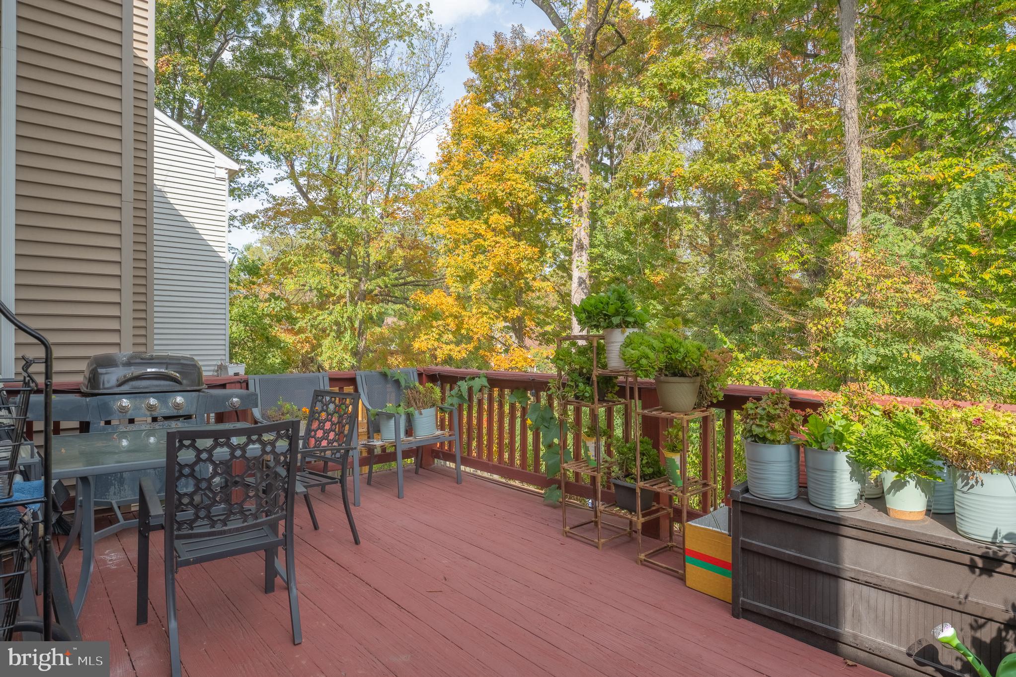 13007 Climbing Ivy Drive Germantown, MD 20874 - Photo 11 of 63 a view of a patio with table and chairs and potted plants