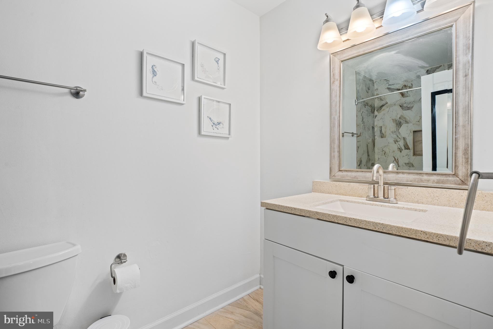 13007 Climbing Ivy Drive Germantown, MD 20874 - Photo 41 of 63 a bathroom with a sink and a mirror