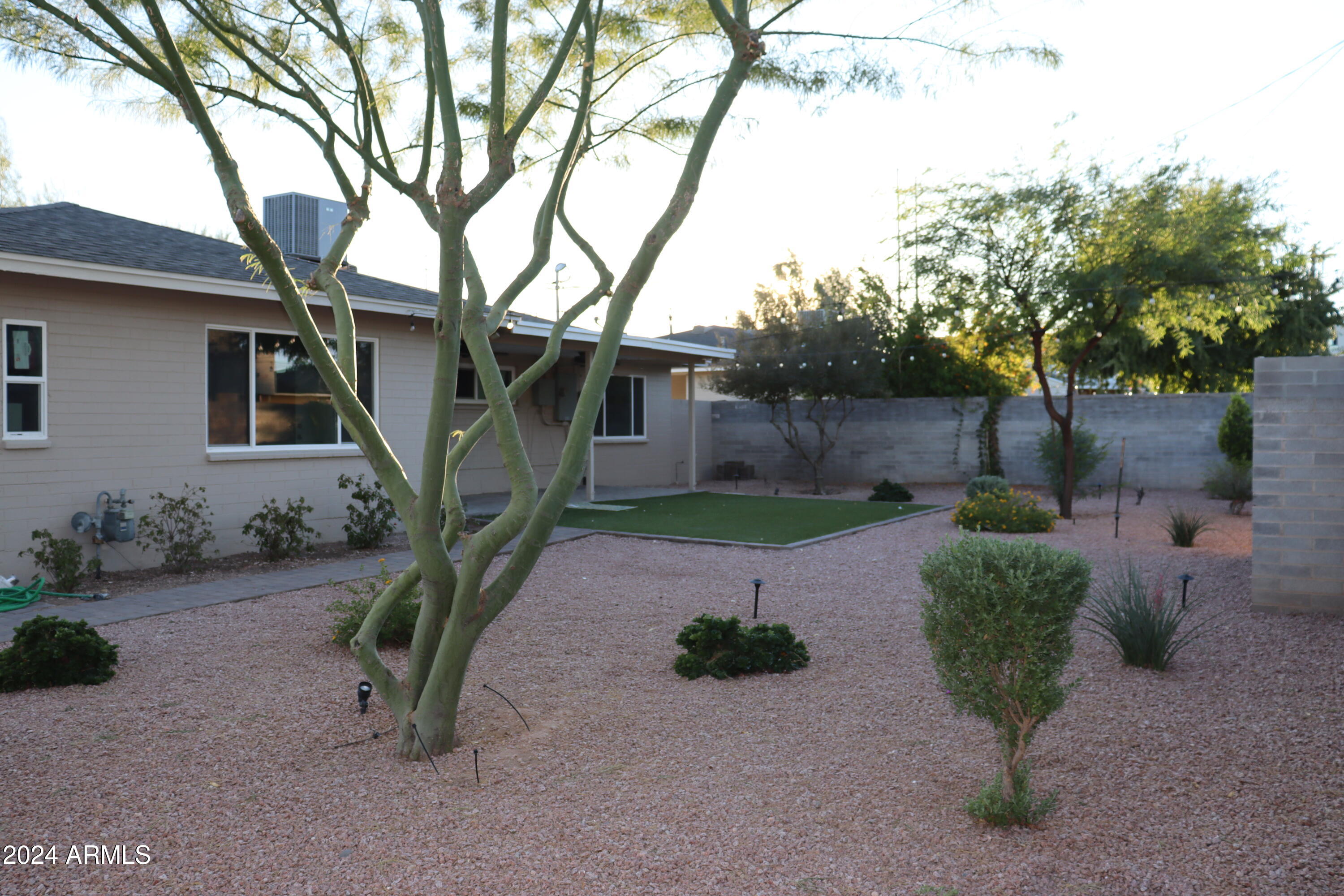 6702 East Almeria Road Scottsdale, AZ 85257 - Photo 22 of 23 a view of a backyard with plants and a large tree