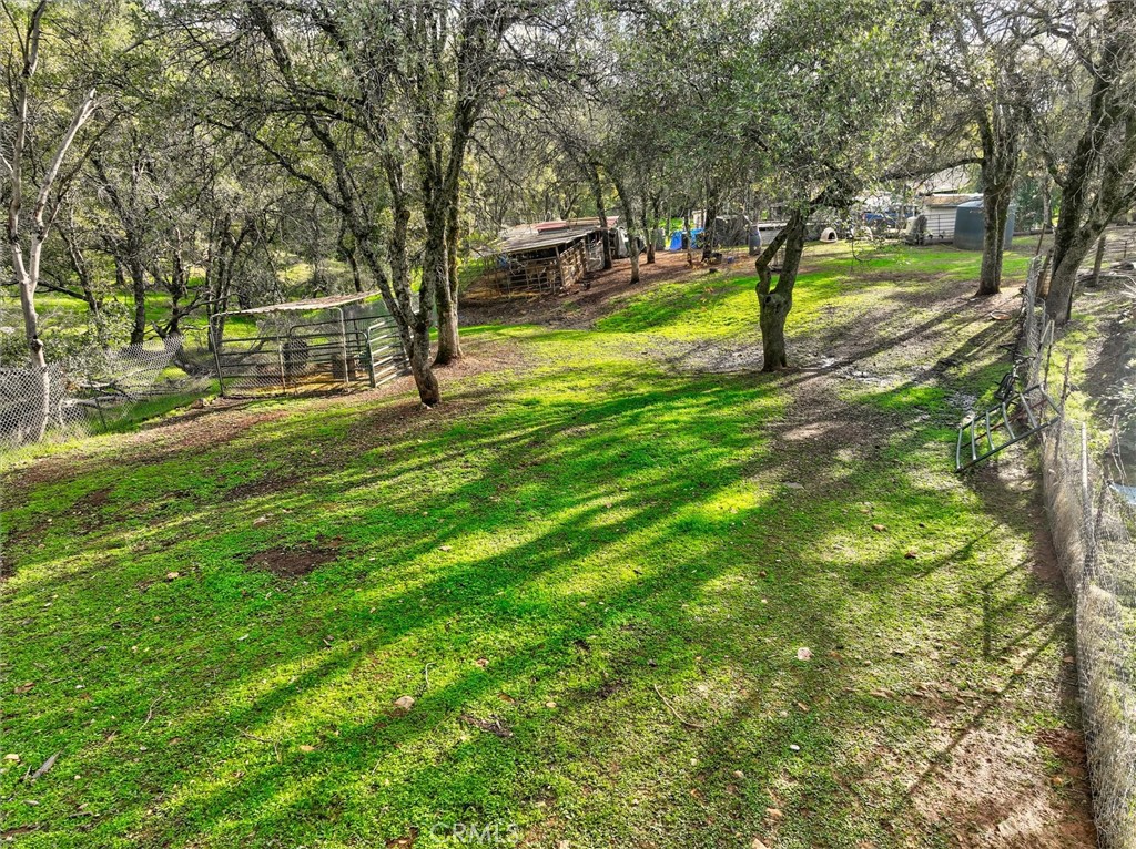 5060-5064 Mykleoaks Road Mariposa, CA 95338 - Photo 38 of 63 a view of a yard with a tree