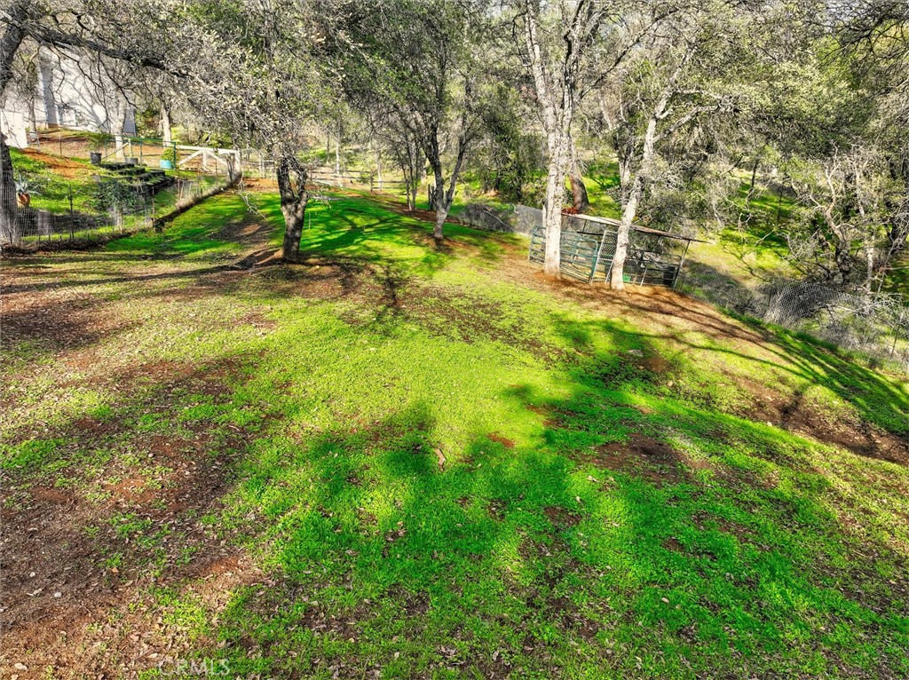 5060-5064 Mykleoaks Road Mariposa, CA 95338 - Photo 39 of 63 a view of yard with tree s