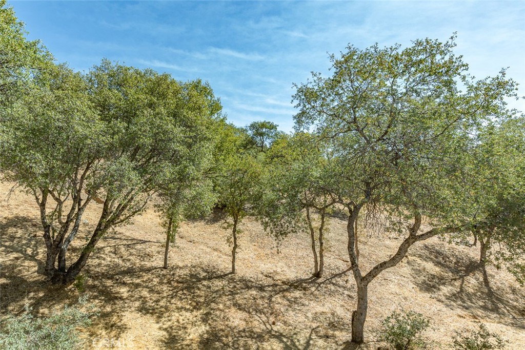 5060-5064 Mykleoaks Road Mariposa, CA 95338 - Photo 62 of 63 a view of a large tree