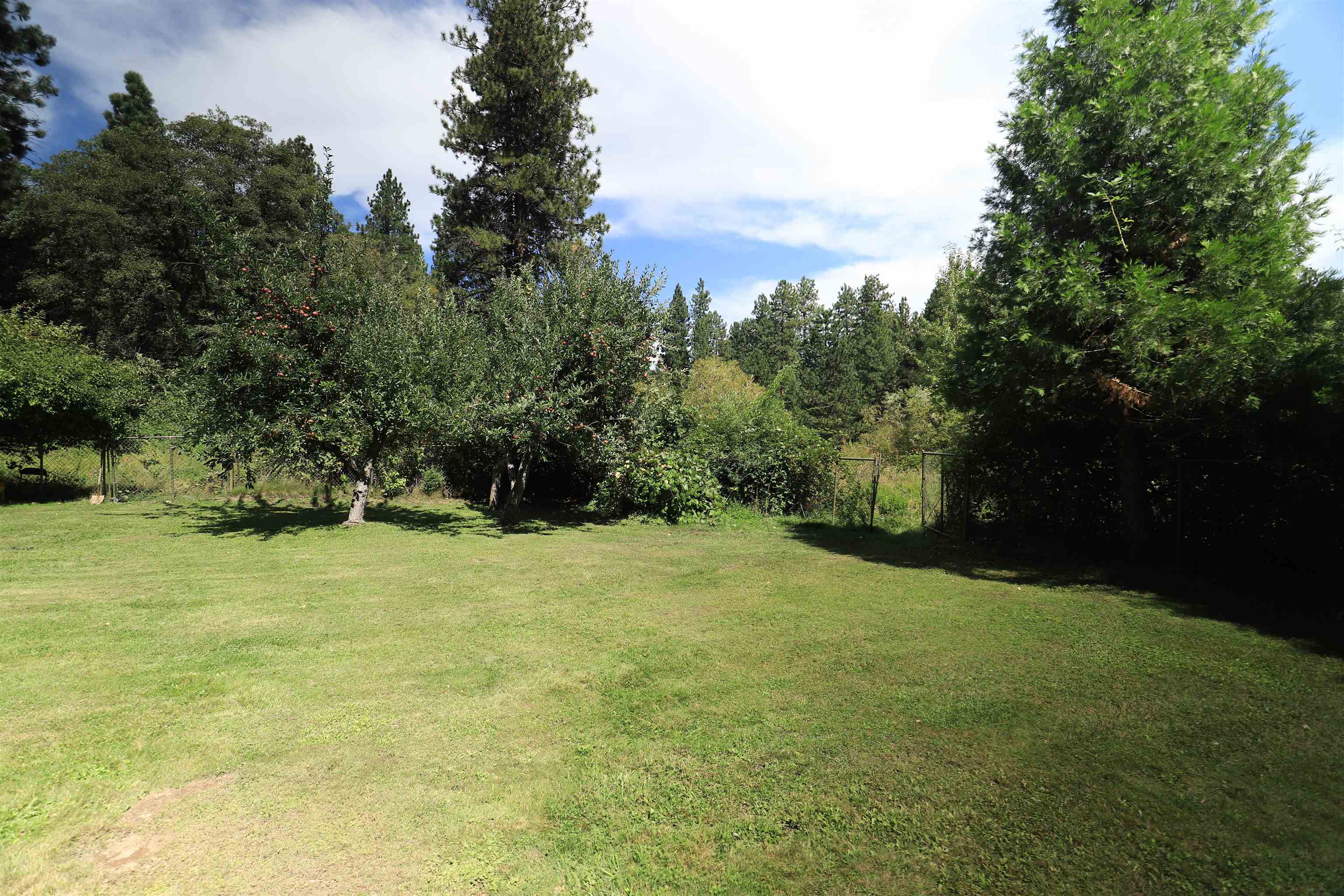 1507 North Shasta Ranch Road Mount Shasta, CA 96067 - Photo 31 of 33 Gallery Image 31