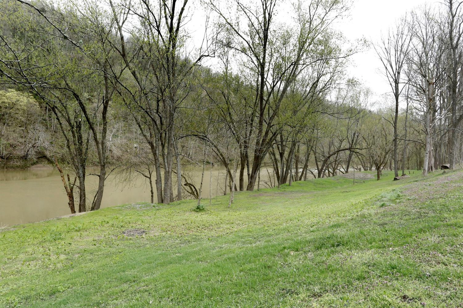 4505 Oregon Road Versailles, KY 40383 - Photo 9 of 18 Photo 9