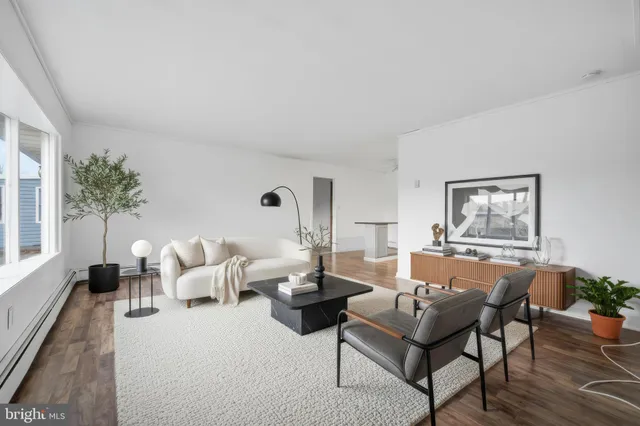 a living room with furniture and a potted plant