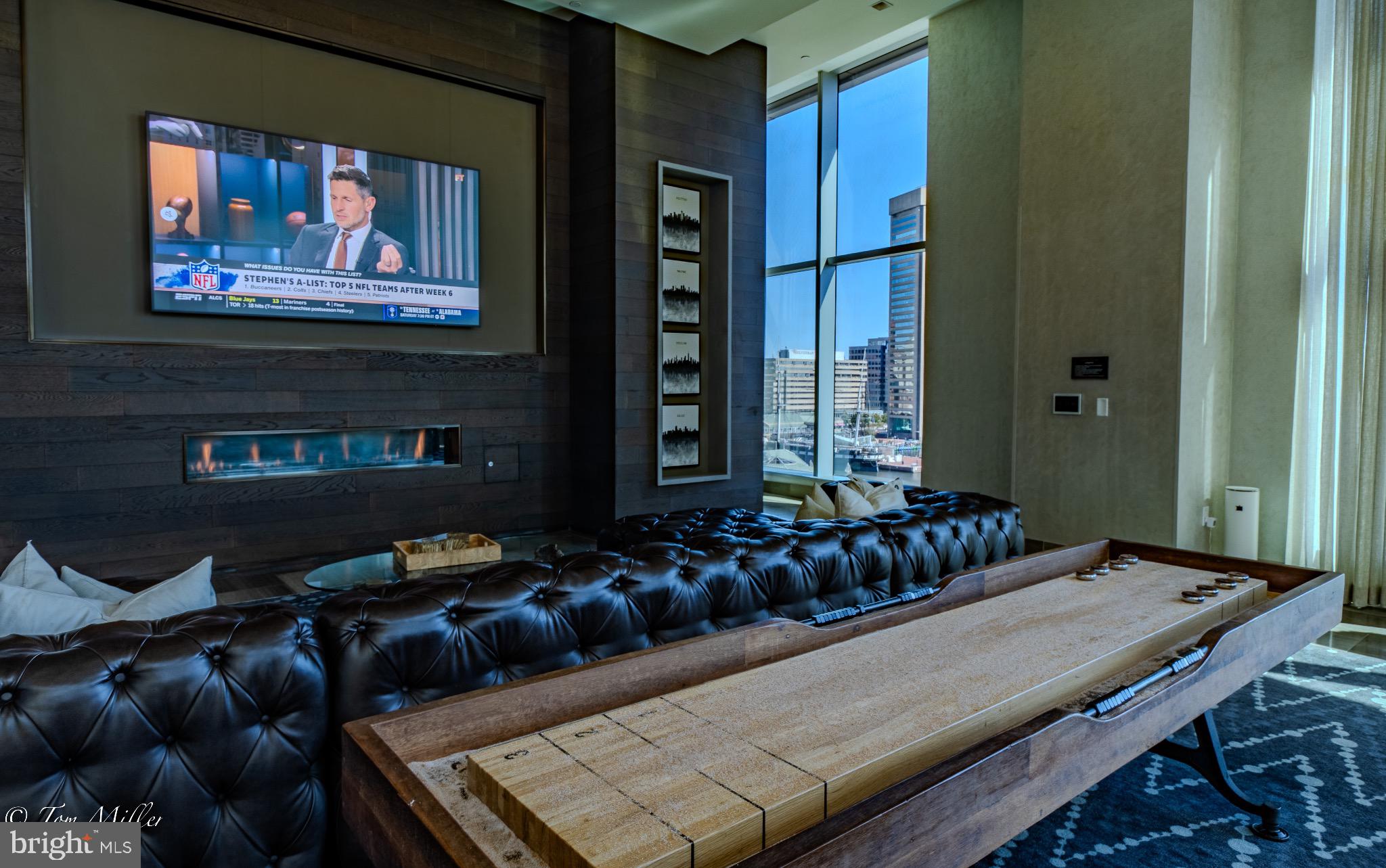 414 Light Street, Unit 4302 Baltimore, MD 21202 - Photo 35 of 42 a living room with furniture