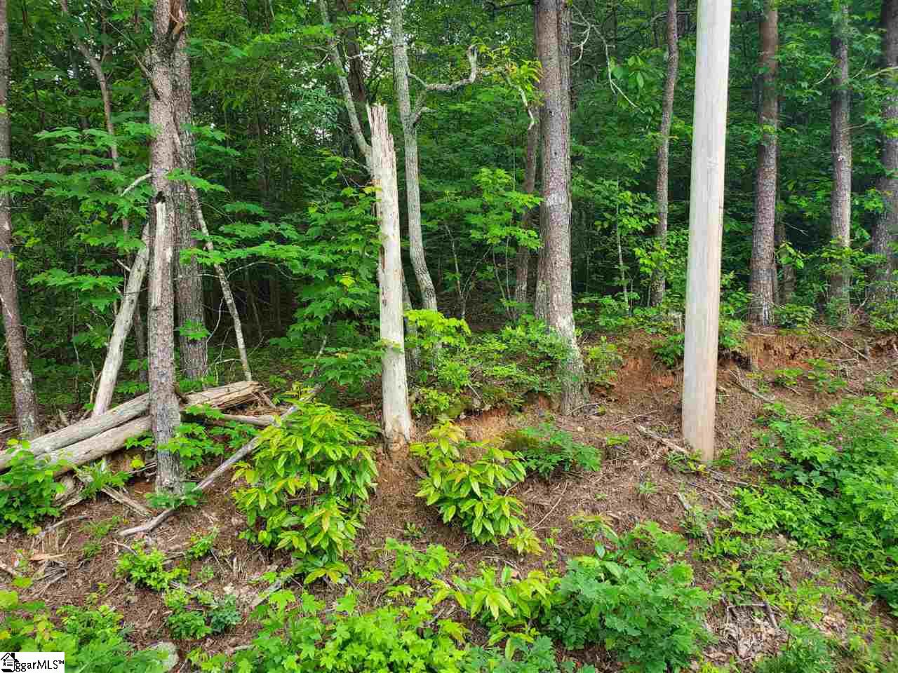 0 Terry Creek Road Travelers Rest, SC 29690 - Photo 1 of 6 Gallery Image 1