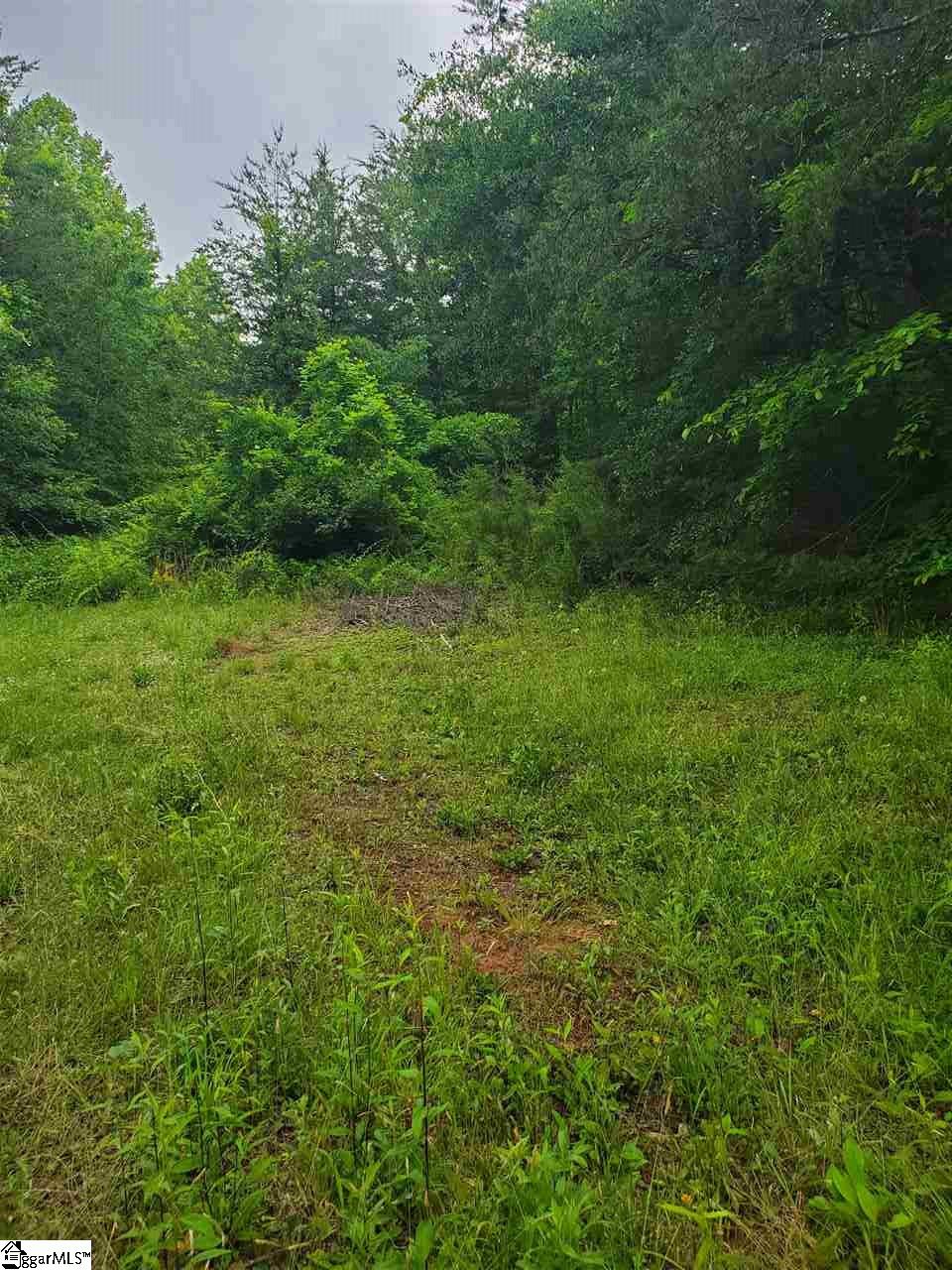 0 Terry Creek Road Travelers Rest, SC 29690 - Photo 2 of 6 Gallery Image 2