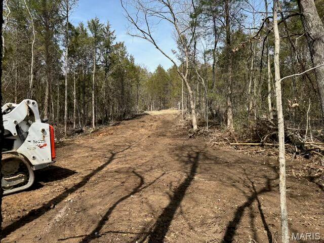 3423 Meyer Road Festus, MO 63028 - Photo 11 of 14