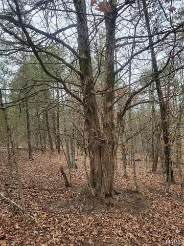 $45,000 | 3423 Meyer Road, Festus, MO 63028