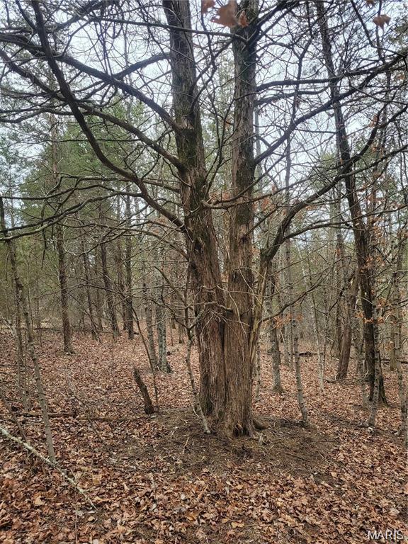 3423 Meyer Road Festus, MO 63028 - Photo 2 of 14