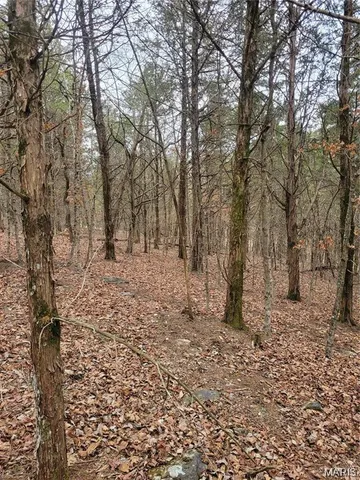 $45,000 | 3423 Meyer Road, Festus, MO 63028