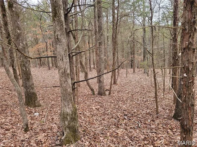 $45,000 | 3423 Meyer Road, Festus, MO 63028