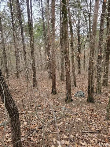 $45,000 | 3423 Meyer Road, Festus, MO 63028