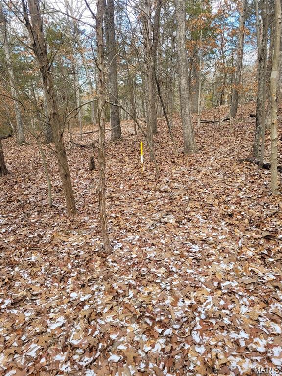 3423 Meyer Road Festus, MO 63028 - Photo 8 of 14