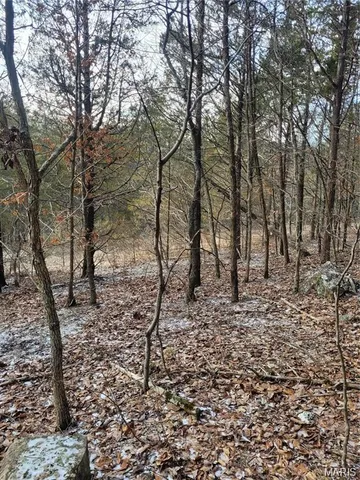 $45,000 | 3423 Meyer Road, Festus, MO 63028