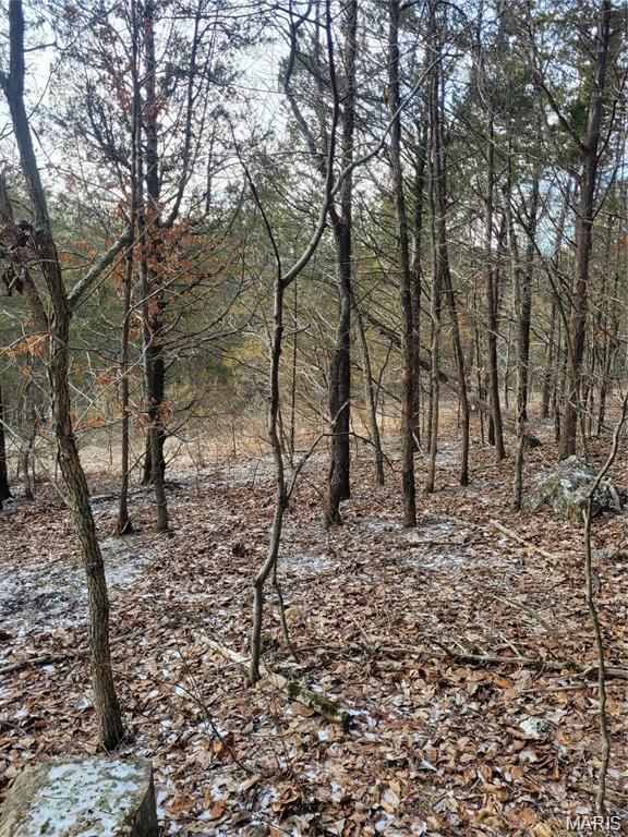 3423 Meyer Road Festus, MO 63028 - Photo 9 of 14