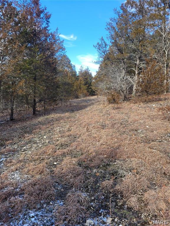 3423 Meyer Road Festus, MO 63028 - Photo 10 of 14