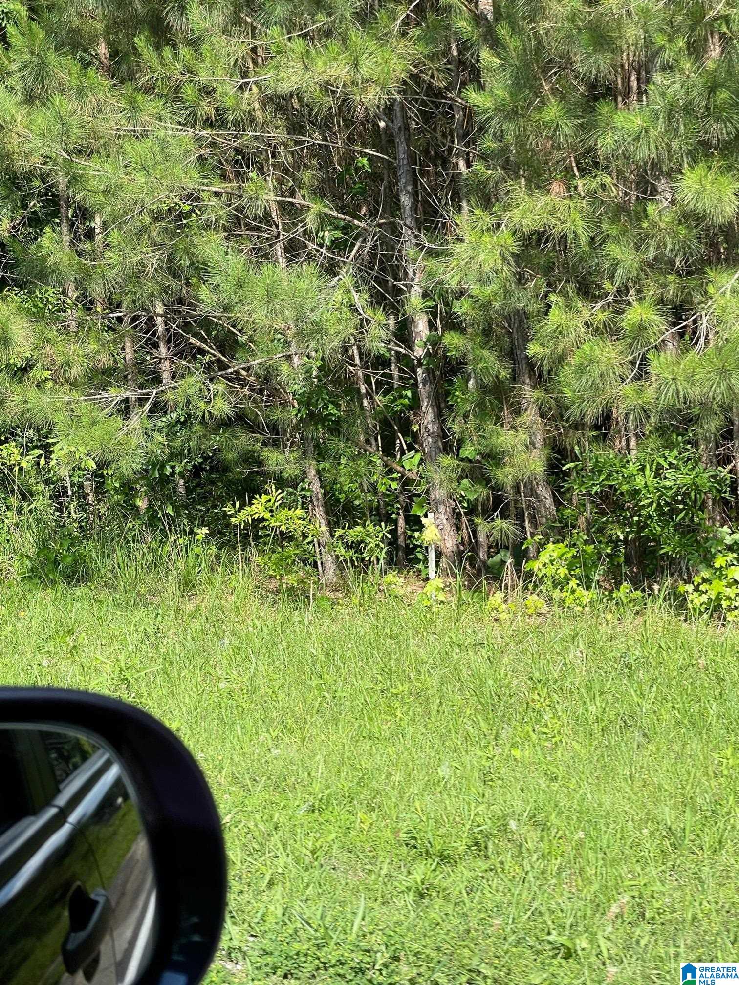 9 Highway 9 South, Unit 5 Lineville, AL 36266 - Photo 6 of 10