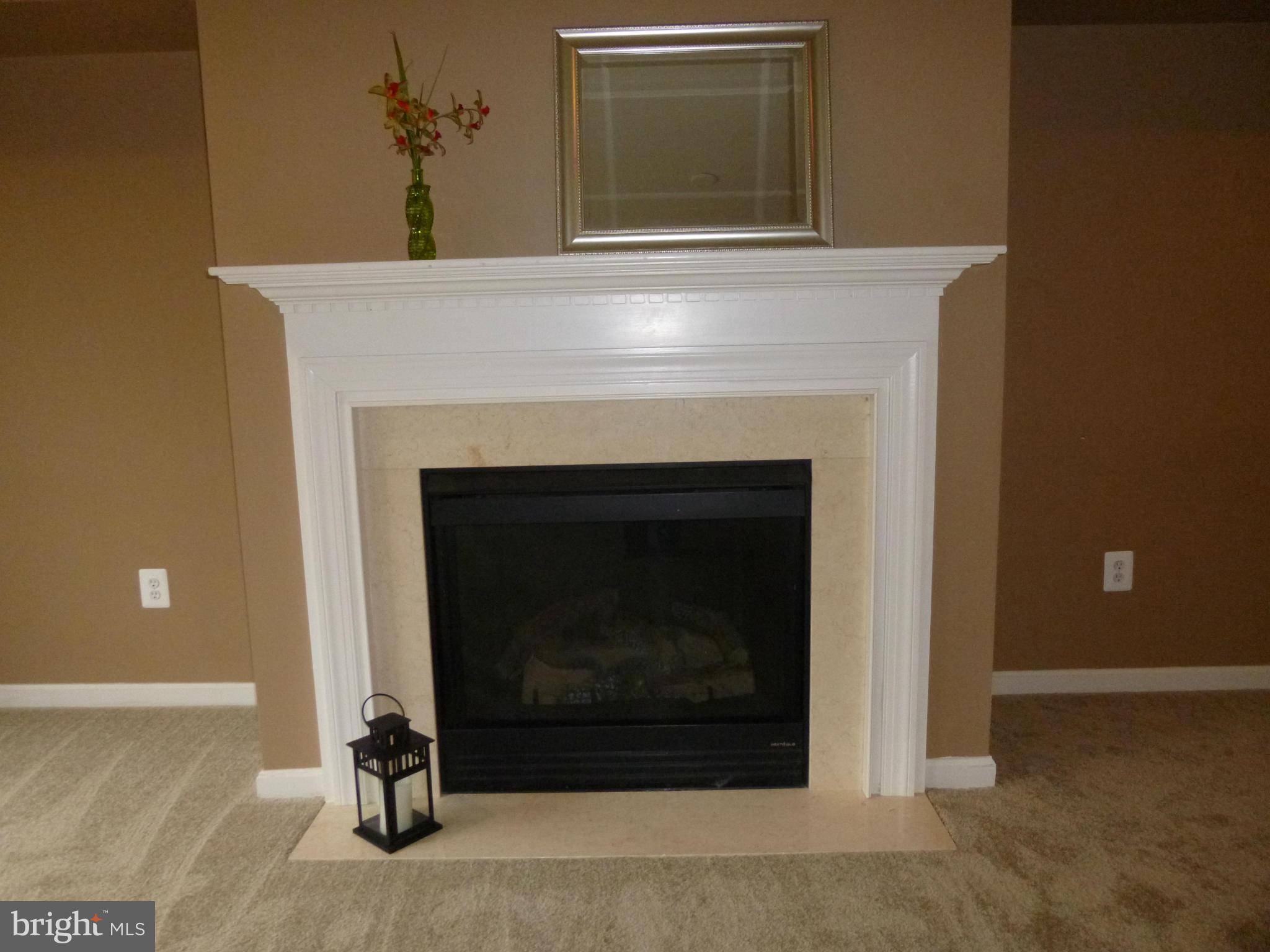 9081 Ribbon Falls Loop Bristow, VA 20136 - Photo 17 of 28 Family Room gas fireplace