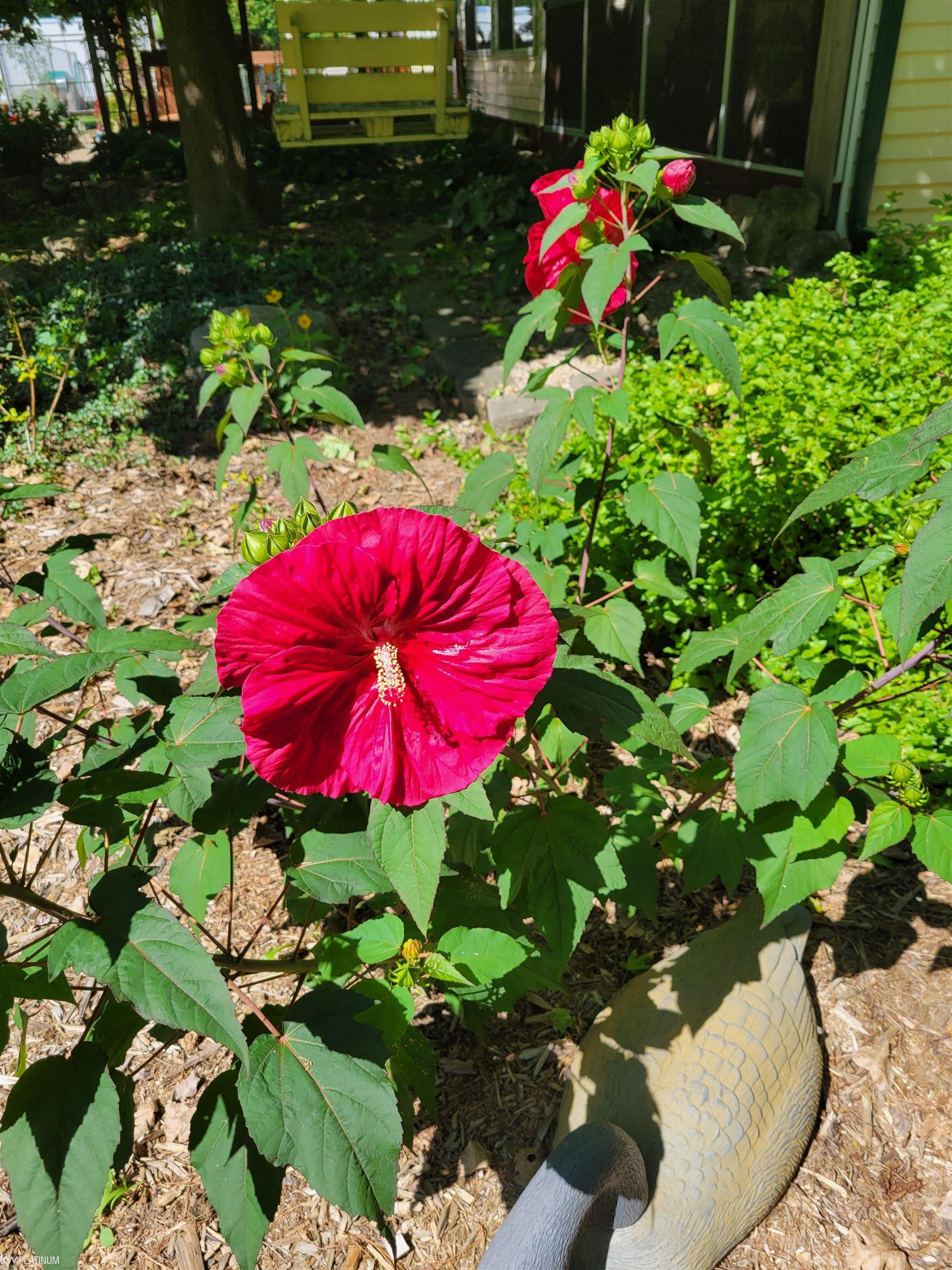 1900 Kronner Road Columbus, MI 48063 - Photo 54 of 58