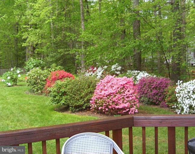2433 Brussels Court Reston, VA 20191 - Photo 14 of 21 Deck - View from