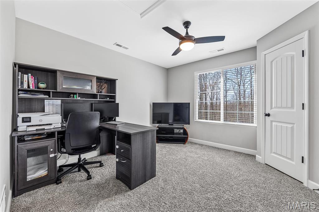 14633 Dotzler Way Troy, MO 63379 - Photo 39 of 68