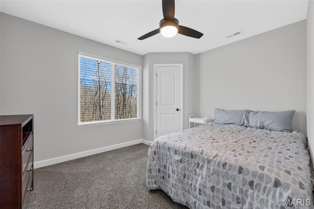 14633 Dotzler Way Troy, MO 63379 - Photo 41 of 68