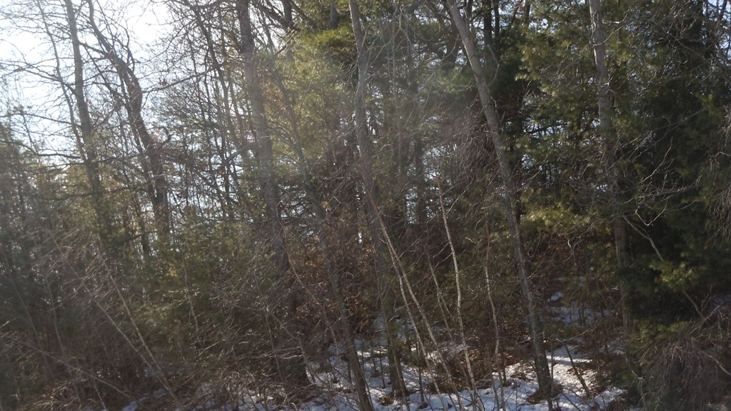 0 Baldwin Hill Road Phillipston, MA 01331 - Photo 1 of 1