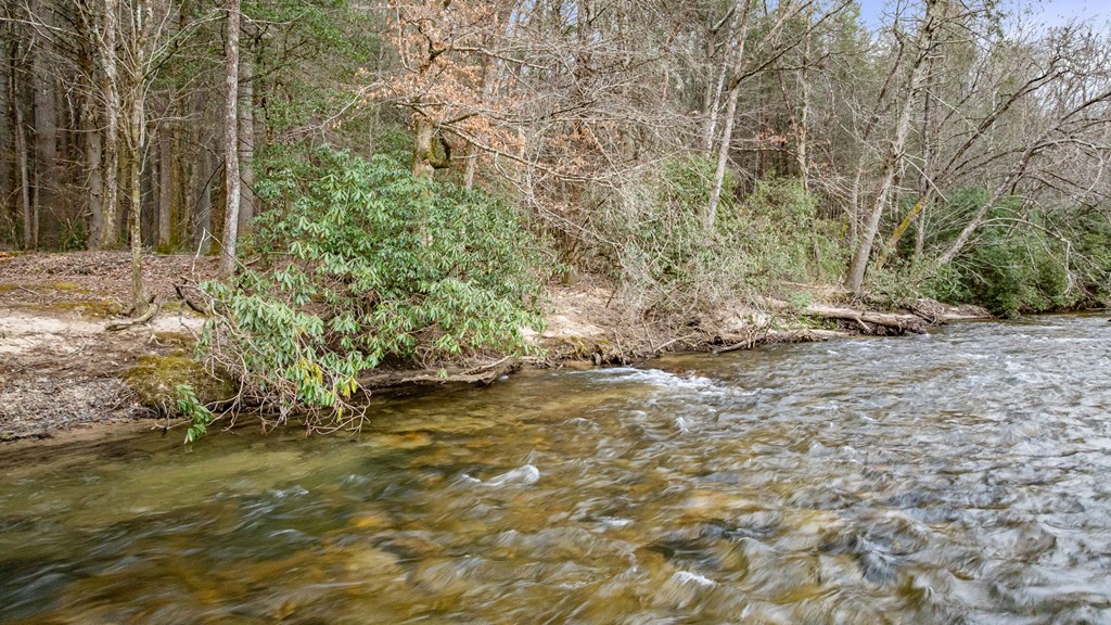300 Ridgecrest Drive Blue Ridge, GA 30513 - Photo 29 of 31 Gallery Image 29