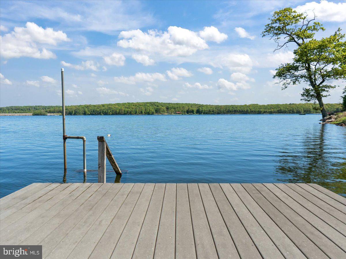 663 Bear Woods Road Mount Storm, WV 26739 - Photo 41 of 73 Tranquil lakeside retreat awaits you.