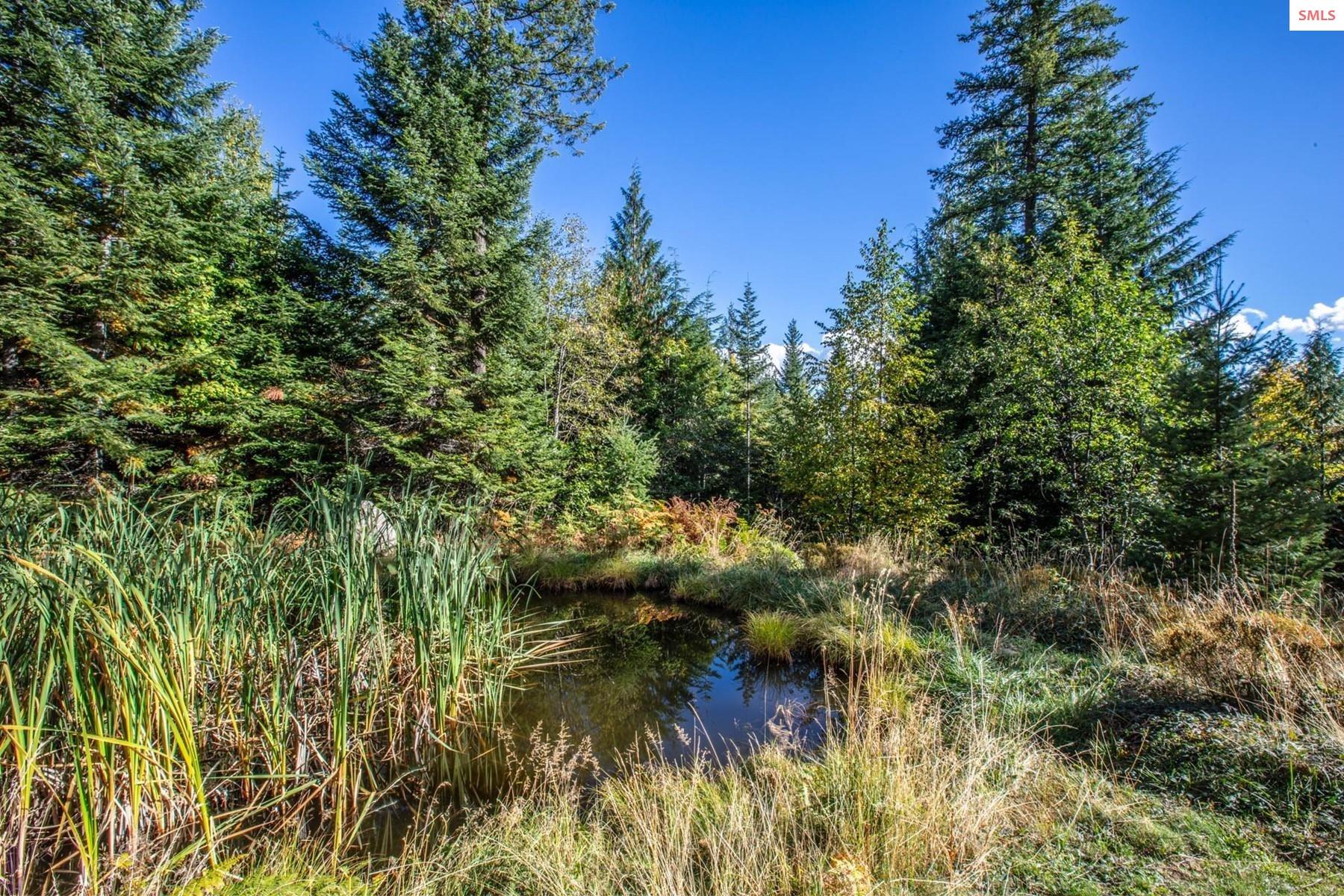 25 Inspiration Way Sandpoint, ID 83864 - Photo 67 of 76 Fed by year round stream