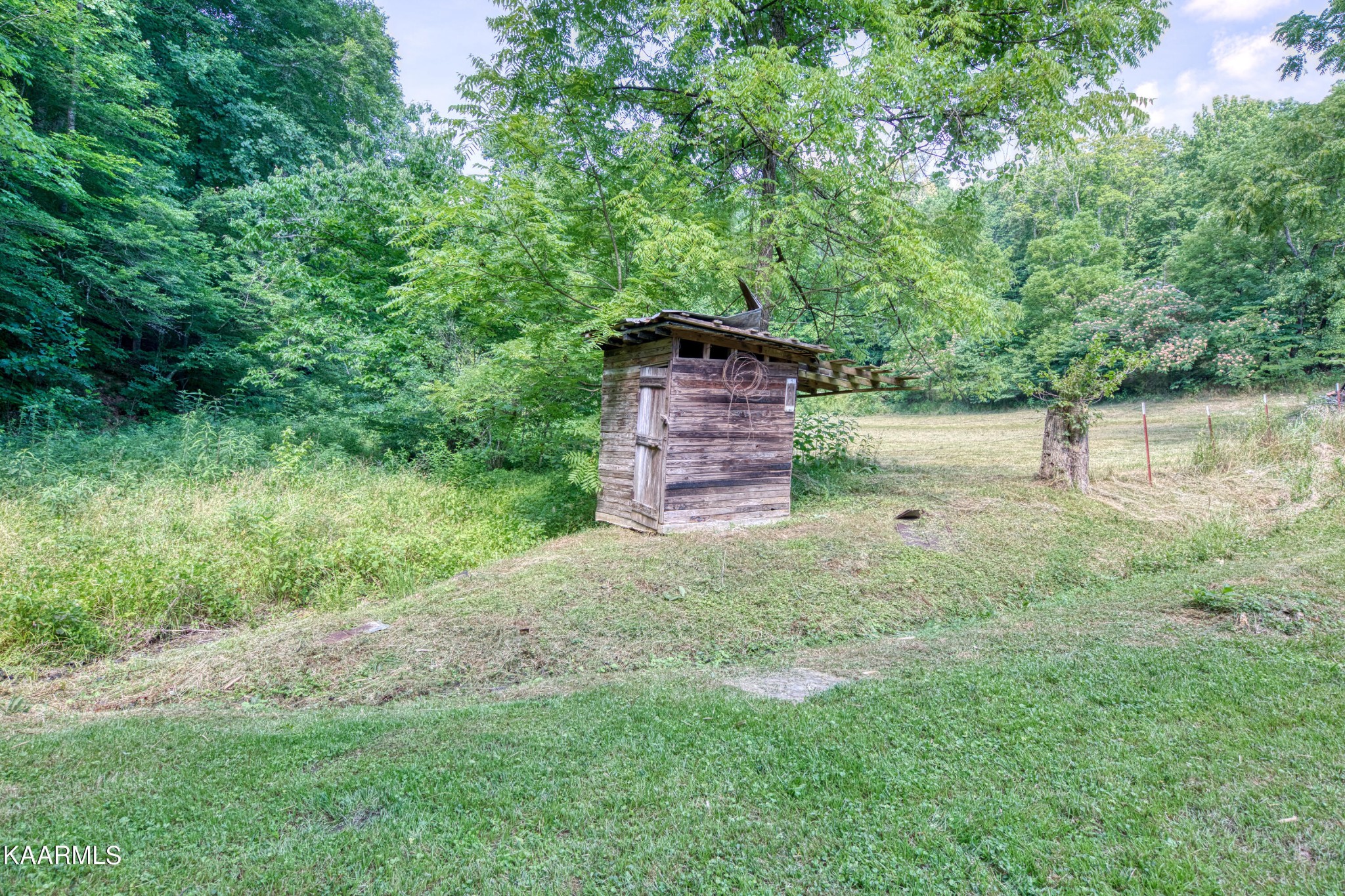 764 Mt Olive Road Andersonville, TN 37705 - Photo 15 of 37 a backyard of a house with lots of green space and lake view