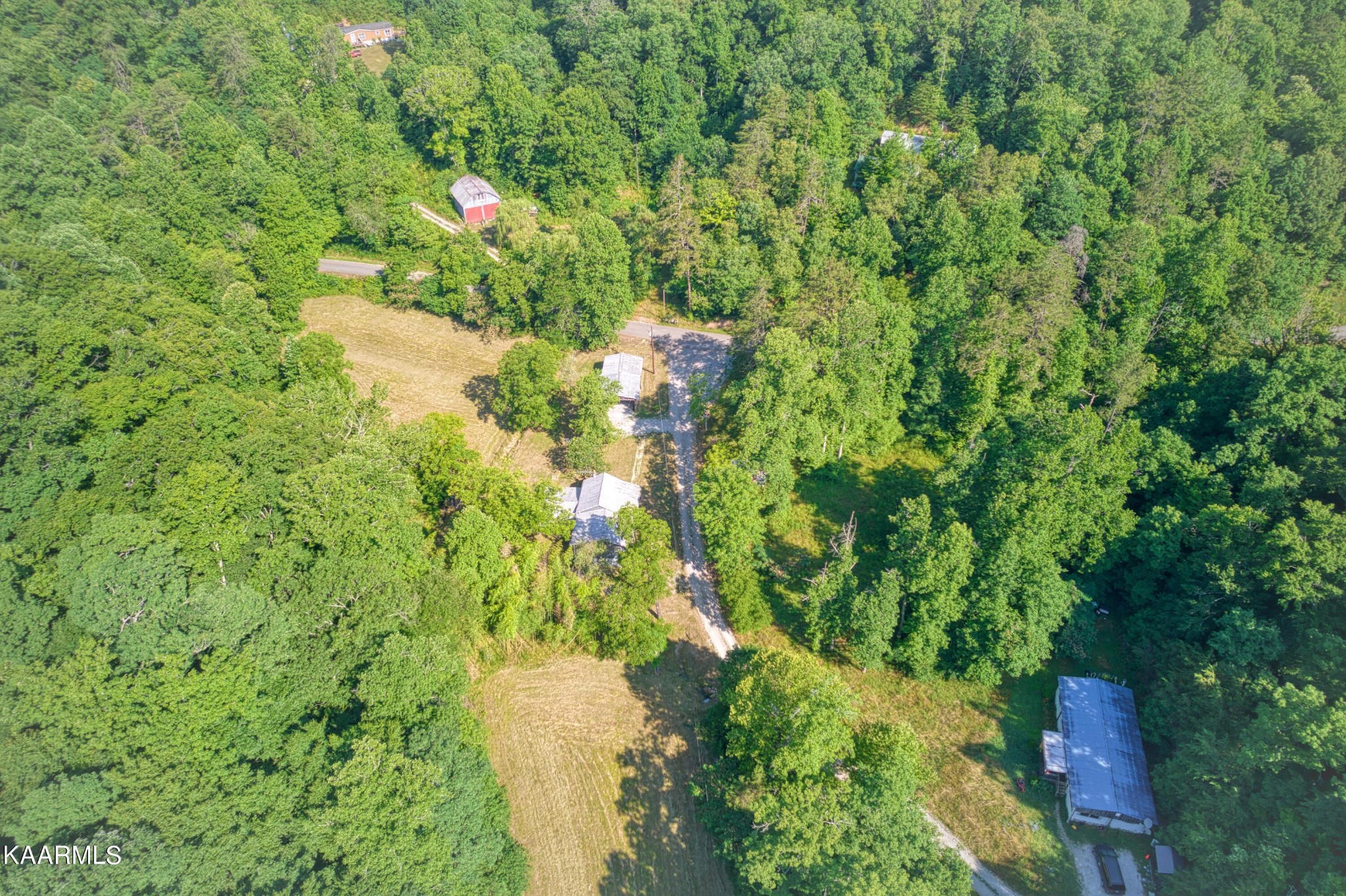 764 Mt Olive Road Andersonville, TN 37705 - Photo 23 of 37 a view of a yard with plants