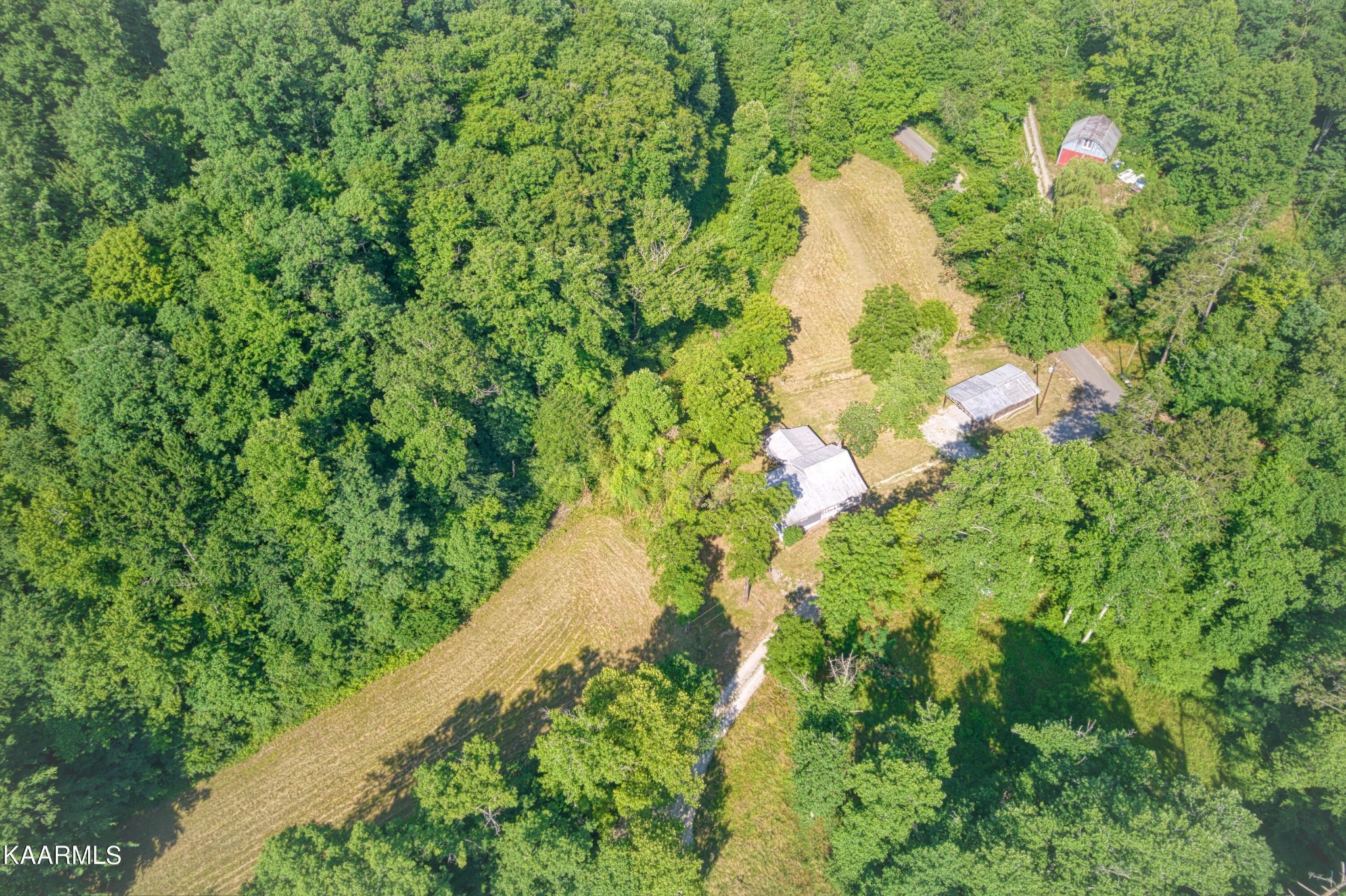 764 Mt Olive Road Andersonville, TN 37705 - Photo 24 of 37 a close up of a plant in a garden