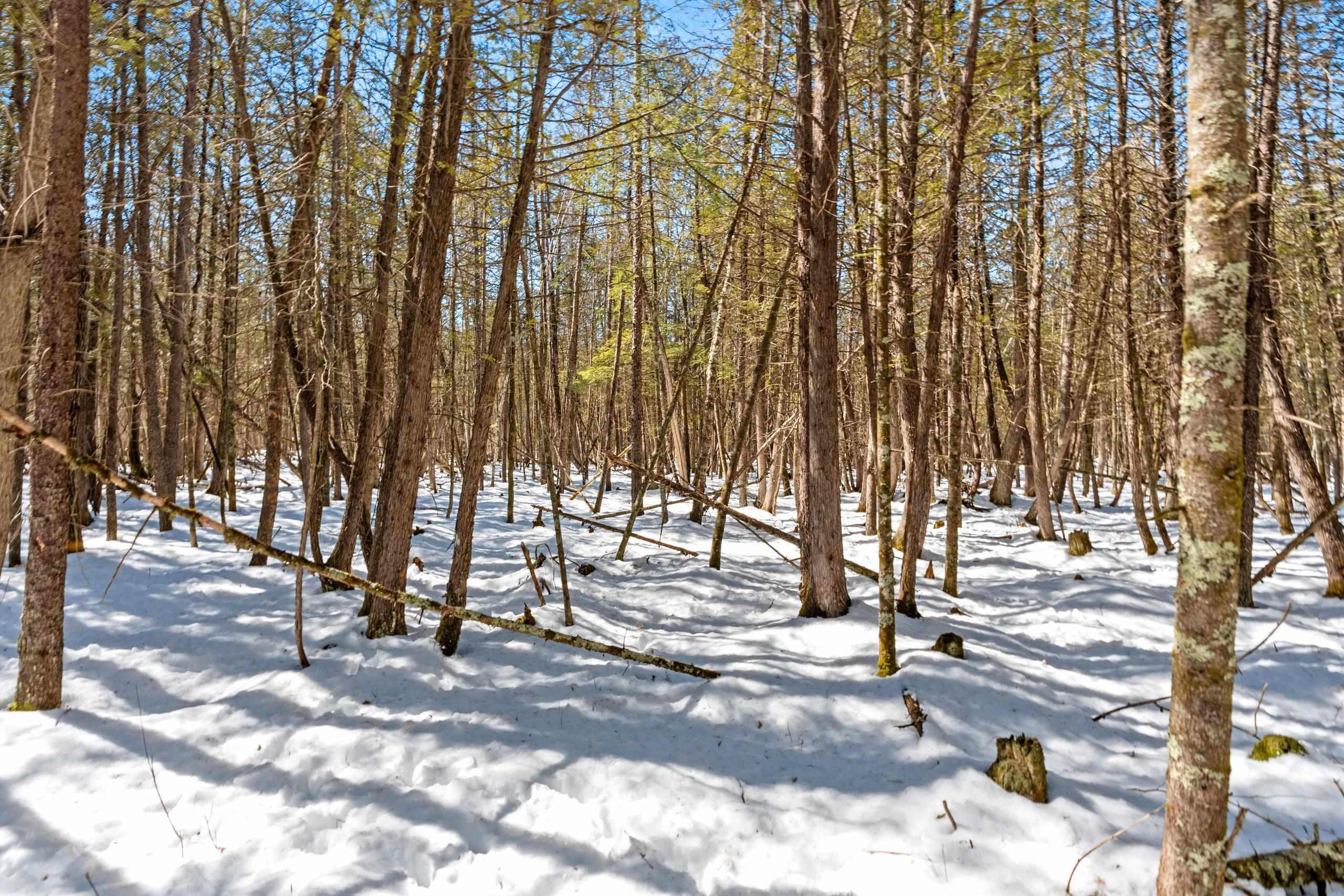 0 Menge Tigerton, WI 54486 - Photo 12 of 38